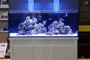 D-D Reef-Pro1200 WHITE GLOSS - Aquariumsystem