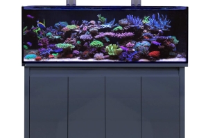 D-D Reef-Pro 1500 ANTHRACITE GLOSS - Aquariumsystem