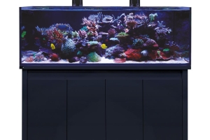 D-D Reef-Pro 1500 BLACK GLOSS - Aquariumsystem