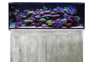 D-D Reef-Pro 1500 DRIFTWOOD CONCRETE - Aquariumsystem