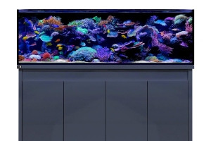 D-D Reef-Pro 1800 ANTHRACITE GLOSS - Aquariumsystem