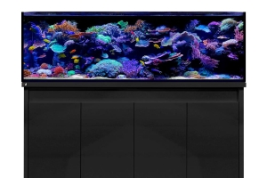 D-D Reef-Pro 1800 BLACK SATIN - Aquariumsystem