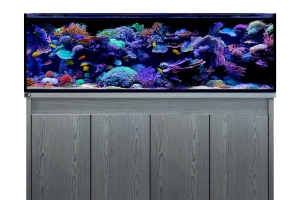 D-D Reef-Pro 1800 CARBON OAK - Aquariumsystem