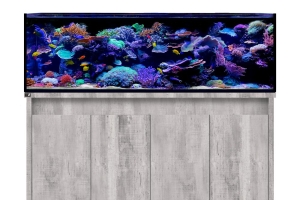 D-D Reef-Pro 1800 DRIFTWOOD CONCRETE - Aquariumsystem