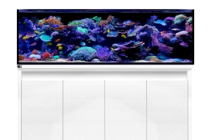 D-D Reef-Pro 1800 WHITE GLOSS - Aquariumsystem