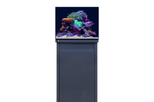 D-D Reef-Pro 600 ANTHRACITE GLOSS - Aquariumsystem