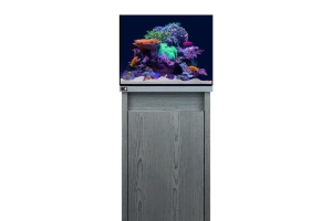 D-D Reef-Pro 600 CARBON OAK - Aquariumsystem