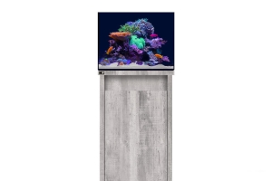 D-D Reef-Pro 600 DRIFTWOOD CONCRETE - Aquariumsystem
