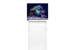 D-D Reef-Pro 600 WHITE GLOSS - Aquariumsystem