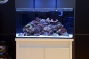 D-D Reef-Pro 900 BLACK GLOSS - Aquariumsystem