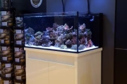 D-D Reef-Pro 900 BLACK GLOSS - Aquariumsystem