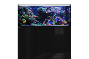 D-D Aqua-Pro Reef 1350- Metal Frame Black Gloss