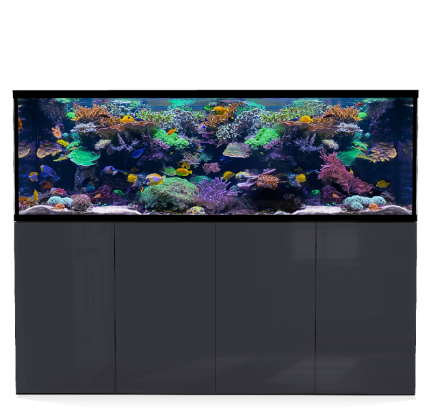 D-D Aqua-Pro Reef 2100- Metal Frame Anthracite Gloss