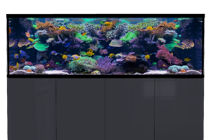 D-D Aqua-Pro Reef 2100- Metal Frame Anthracite Gloss