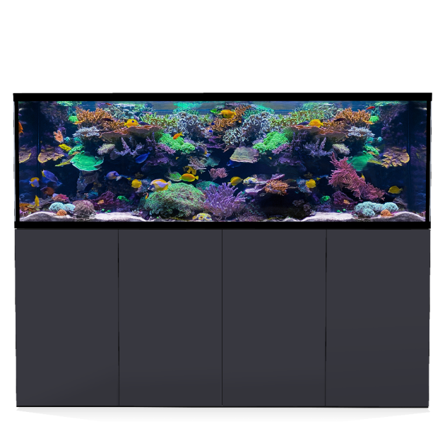 D-D Aqua-Pro Reef 2100- Metal Frame Anthracite Matt