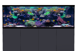 D-D Aqua-Pro Reef 2100- Metal Frame Anthracite Matt