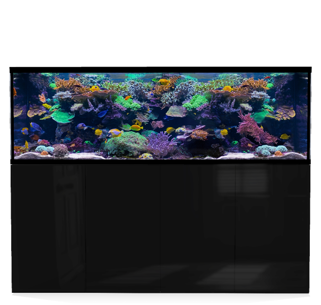 D-D Aqua-Pro Reef 2100- Metal Frame Black Gloss