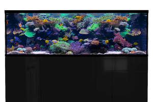 D-D Aqua-Pro Reef 2100- Metal Frame Black Gloss