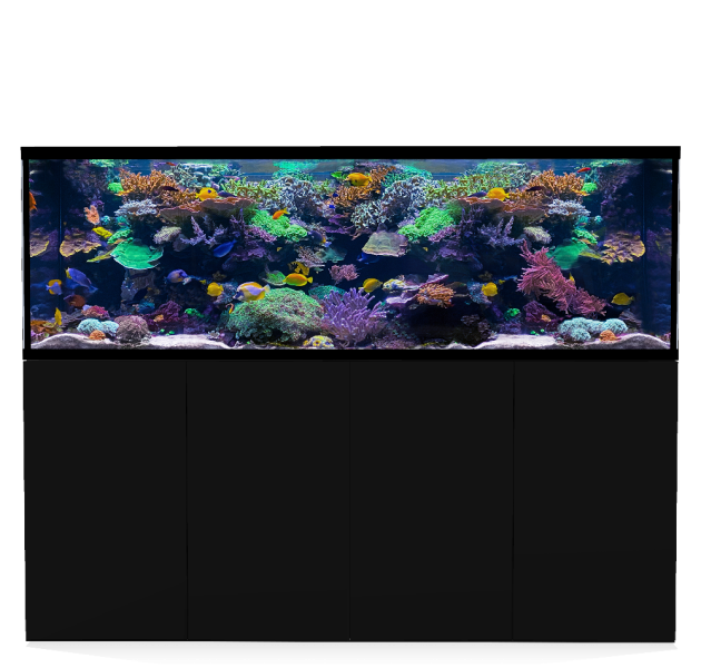 D-D Aqua-Pro Reef 2100- Metal Frame Black Satin