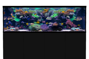 D-D Aqua-Pro Reef 2100- Metal Frame Black Satin