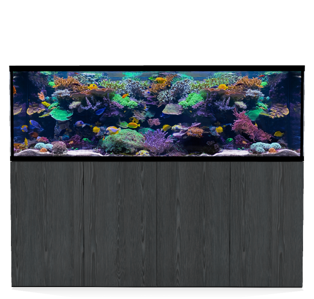 D-D Aqua-Pro Reef 2100- Metal Frame Carbon Oak