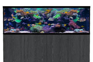 D-D Aqua-Pro Reef 2100- Metal Frame Carbon Oak