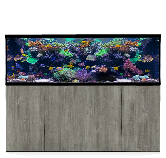 D-D Aqua-Pro Reef 2100- Metal Frame Driftwood Concrete