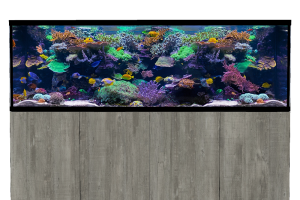 D-D Aqua-Pro Reef 2100- Metal Frame Driftwood Concrete