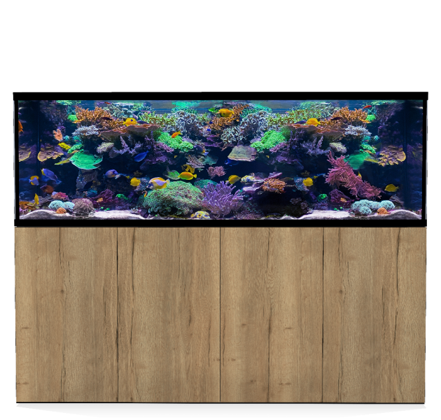 D-D Aqua-Pro Reef 2100- Metal Frame Natural Oak