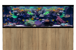 D-D Aqua-Pro Reef 2100- Metal Frame Natural Oak