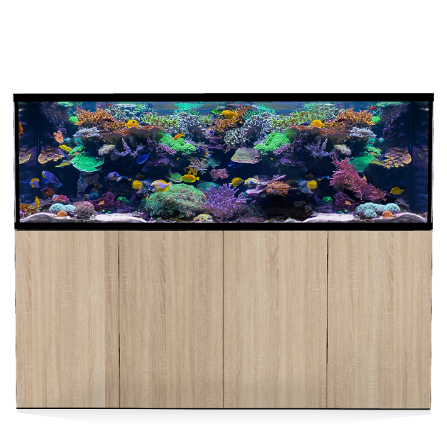 D-D Aqua-Pro Reef 2100- Metal Frame Platinum Oak