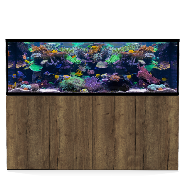 D-D Aqua-Pro Reef 2100- Metal Frame Tobacco Oak