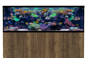 D-D Aqua-Pro Reef 2100- Metal Frame Tobacco Oak
