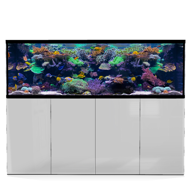 D-D Aqua-Pro Reef 2100- Metal Frame White Gloss