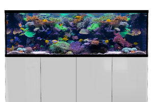 D-D Aqua-Pro Reef 2100- Metal Frame White Gloss