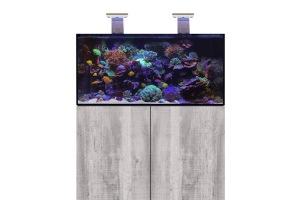 D-D Aqua-Pro Reef 1200- DRIFTWOOD CONCRETE
