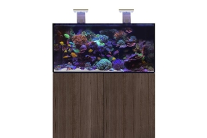 D-D Aqua-Pro Reef 1200- JAPANESE PEAR GLOSS