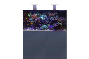 D-D Aqua-Pro Reef 1200- ANTHRACITE GLOSS