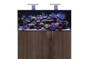 D-D Aqua-Pro Reef 1500- METAL FRAME- JAPANESE PEAR GLOSS