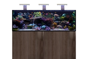 D-D Aqua-Pro Reef 1800- METAL FRAME- JAPANESE PEAR GLOSS