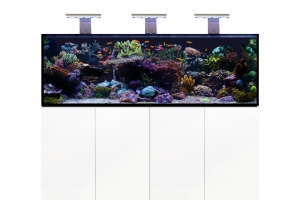 D-D Aqua-Pro Reef 1800- METAL FRAME- WHITE GLOSS
