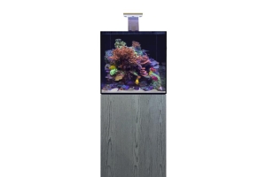 D-D Aqua-Pro Reef 600- Cube- CARBON OAK