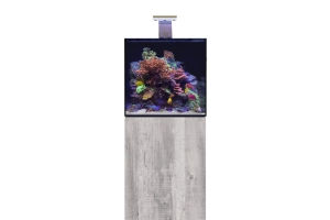 D-D Aqua-Pro Reef 600- Cube- DRIFTWOOD CONCRETE