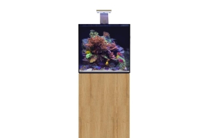 D-D Aqua-Pro Reef 600- Cube- NATURAL OAK