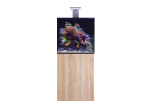 D-D Aqua-Pro Reef 600- Cube- PLATINUM OAK