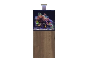 D-D Aqua-Pro Reef 600- Cube- TOBACCO OAK