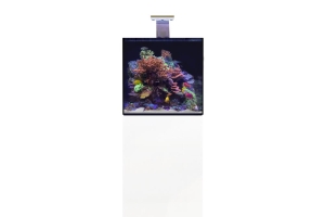 D-D Aqua-Pro Reef 600- Cube- WHITE GLOSS