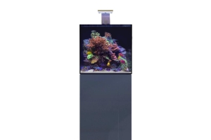 D-D Aqua-Pro Reef 600- Cube- ANTHRACITE GLOSS