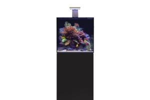 D-D Aqua-Pro Reef 600- Cube- BLACK GLOSS