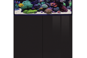 D-D Aqua-Pro Reef 900- BLACK GLOSS